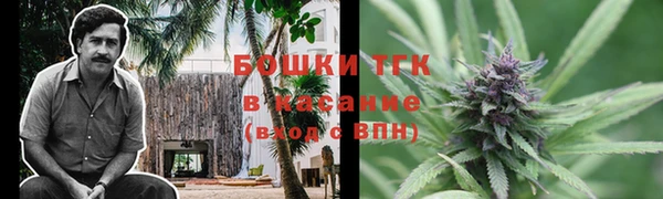 ПСИЛОЦИБИНОВЫЕ ГРИБЫ Балабаново