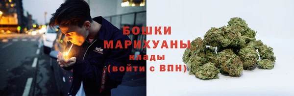 ПСИЛОЦИБИНОВЫЕ ГРИБЫ Балабаново