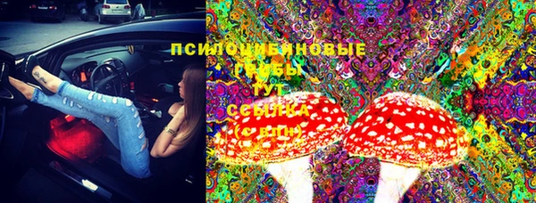 ПСИЛОЦИБИНОВЫЕ ГРИБЫ Балабаново